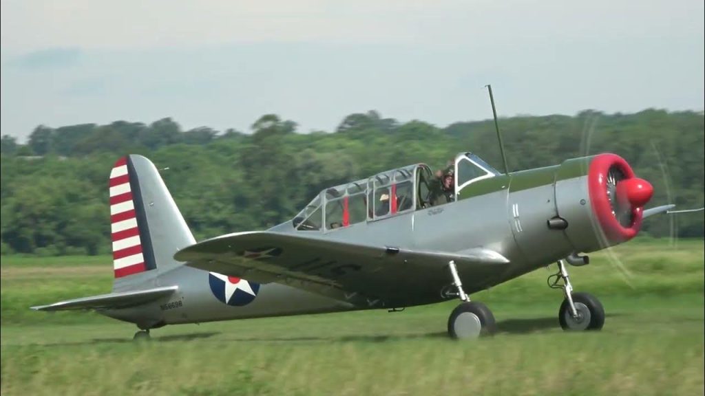Warbirds-Static or Flying - BT-13